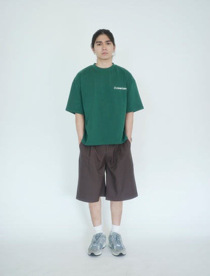 Aria Wide Pleated Shorts in Brown