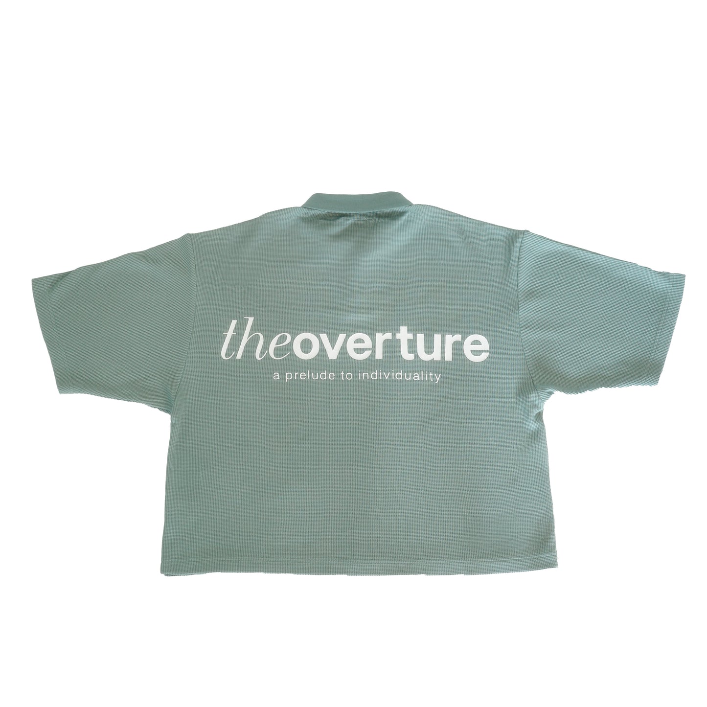 Echo Waffle Knit Polo in Sage Green