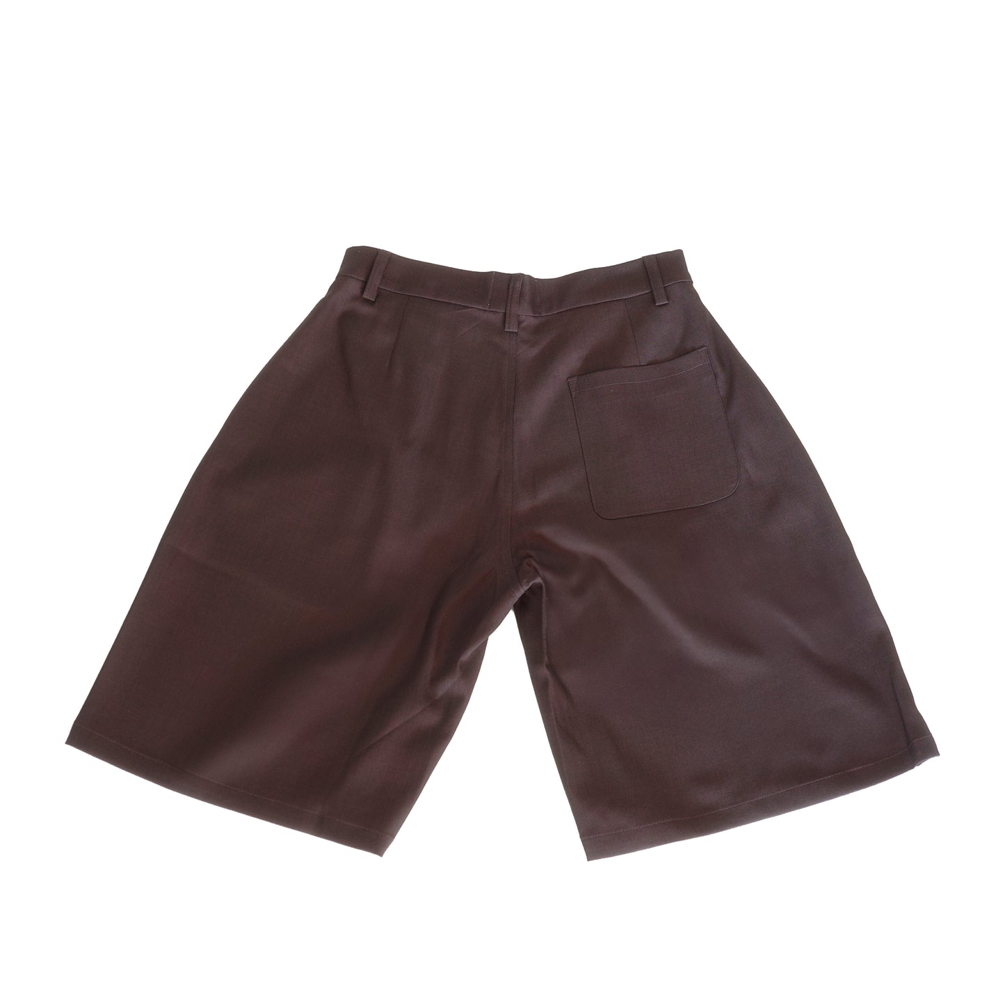 Aria Wide Pleated Shorts in Brown