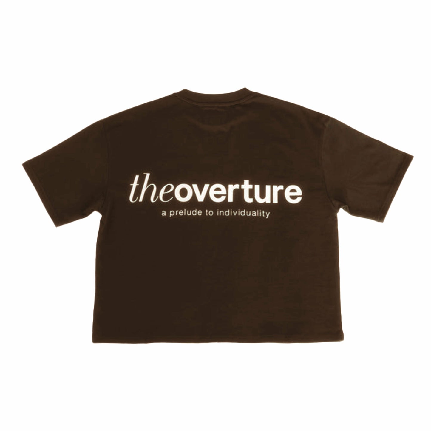 Verse Boxy T-Shirt in Brown