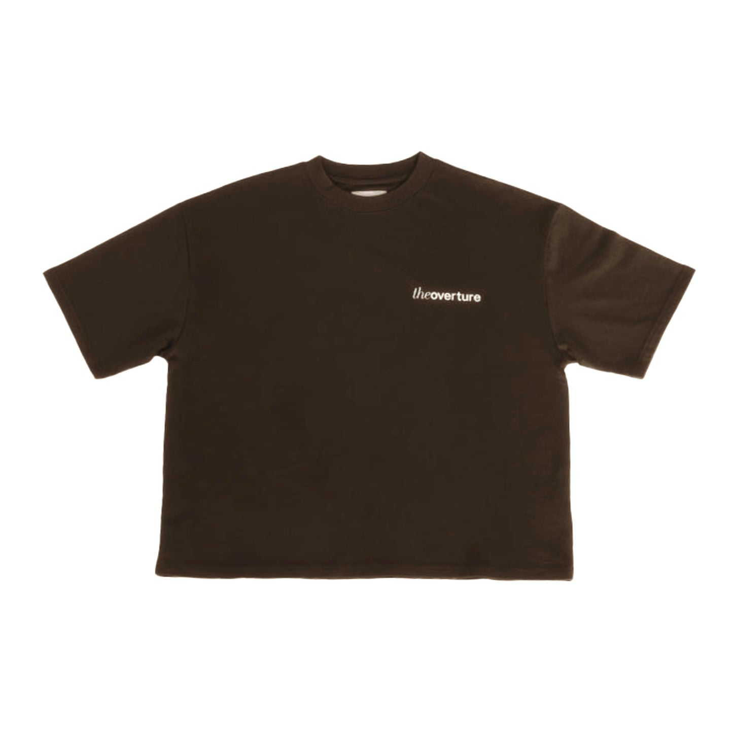 Verse Boxy T-Shirt in Brown